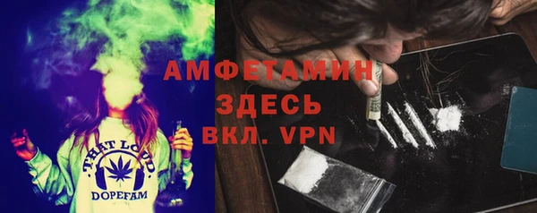 молекула духа Алексин