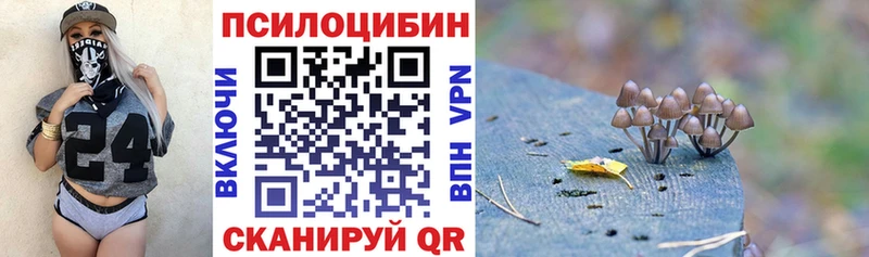 Псилоцибиновые грибы Magic Shrooms  магазин    Чаплыгин 